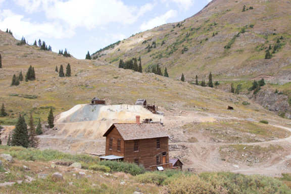 many buildings throughout the area