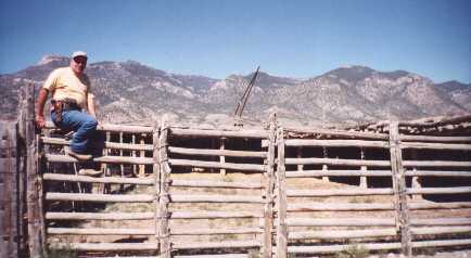 this log fence surrounds a large portion of the property